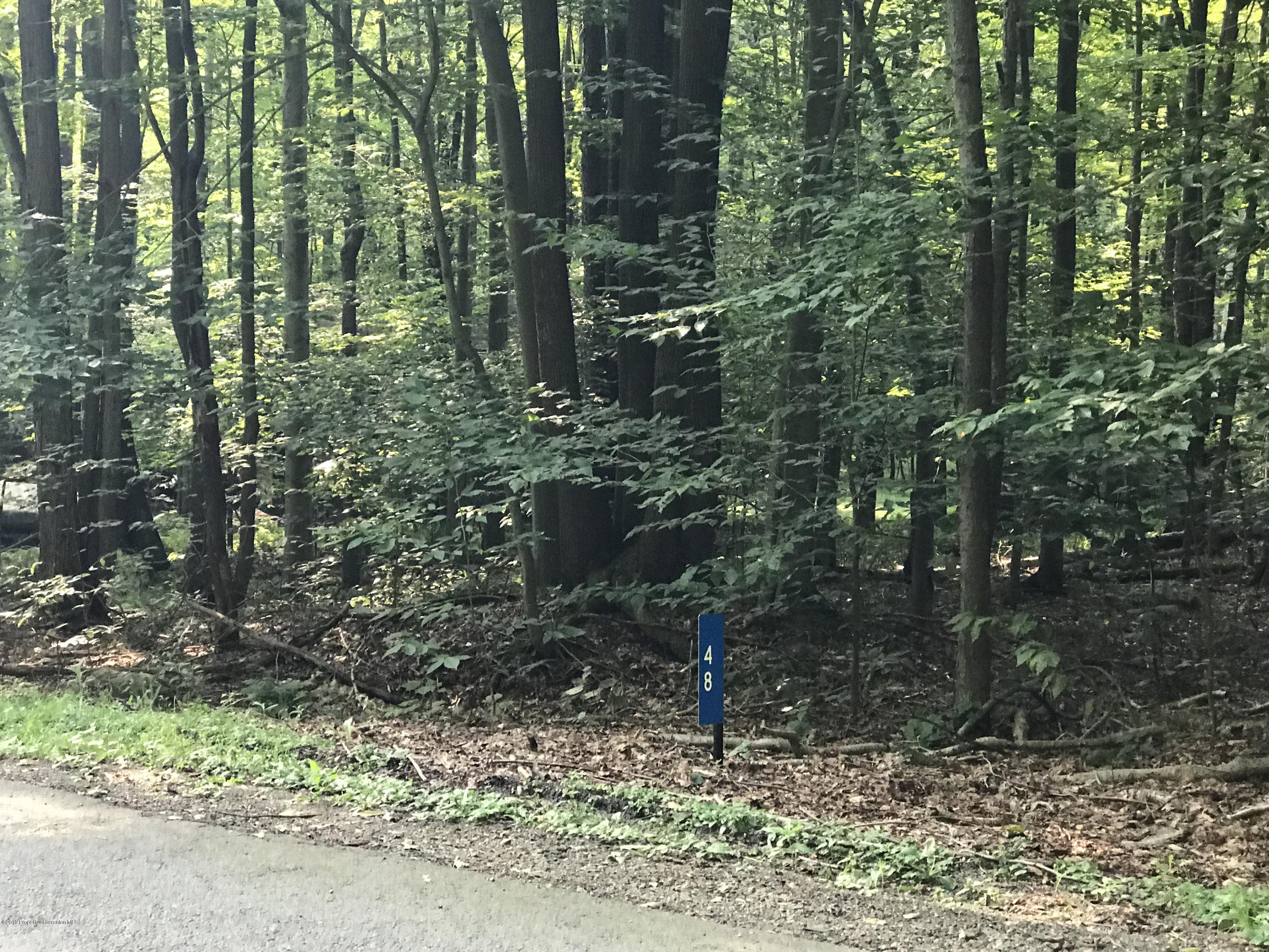 48 Sheffick Road, Unit WEST Gouldsboro, PA 18424 - Photo 1 of 11 2019-07-21 Opar-lot 002