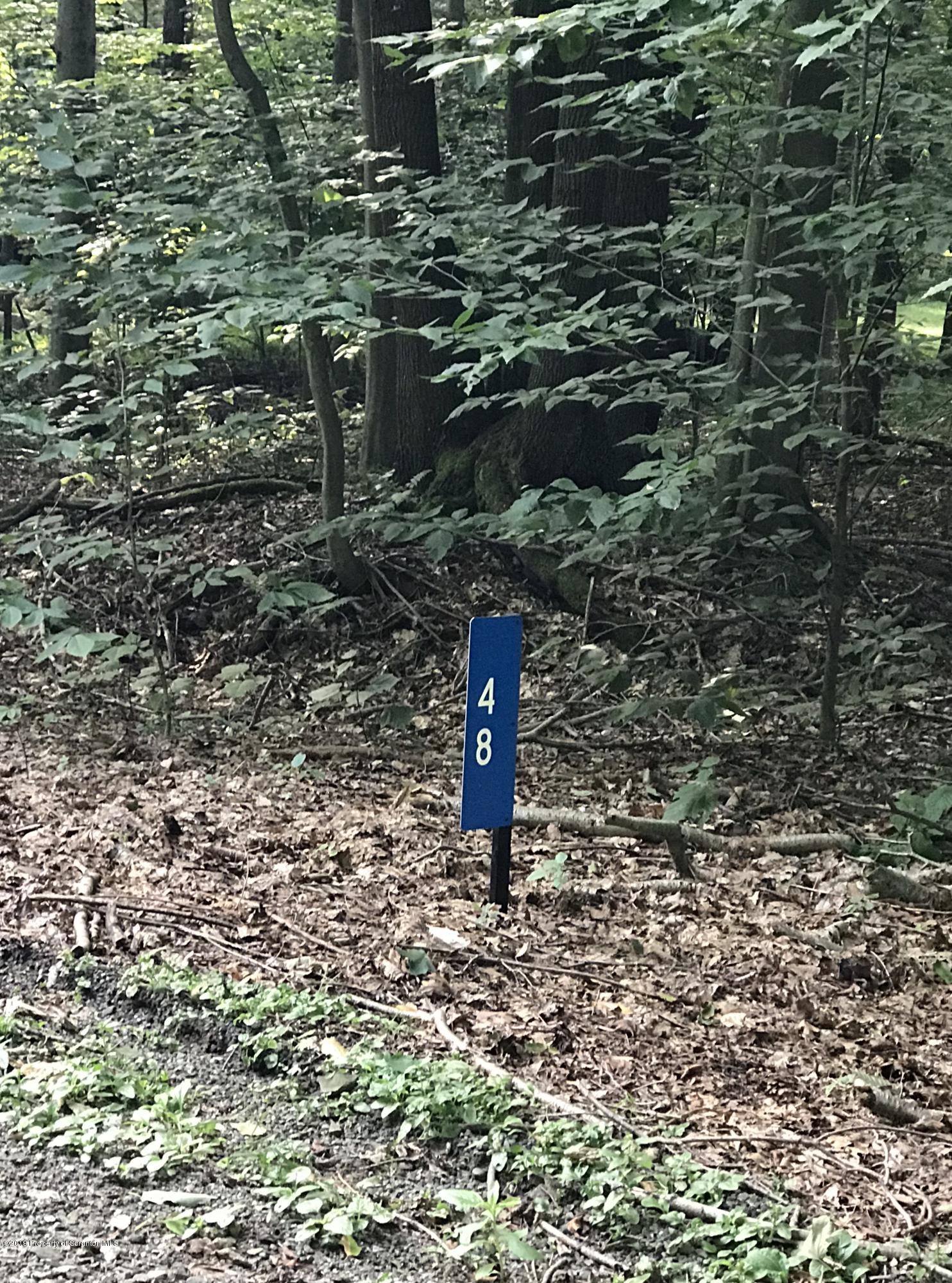 48 Sheffick Road, Unit WEST Gouldsboro, PA 18424 - Photo 3 of 11 2019-07-21 Opar-lot 001