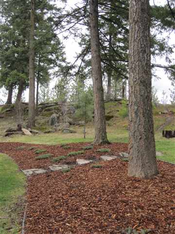 15918 North Austin Road Spokane, WA 99208 - Photo 8 of 9