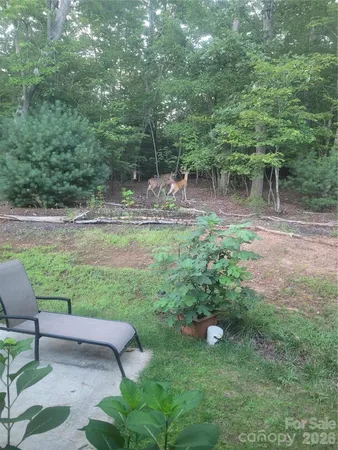 $375,000 | 160 Winsome Forest Drive, Nebo, NC 28761