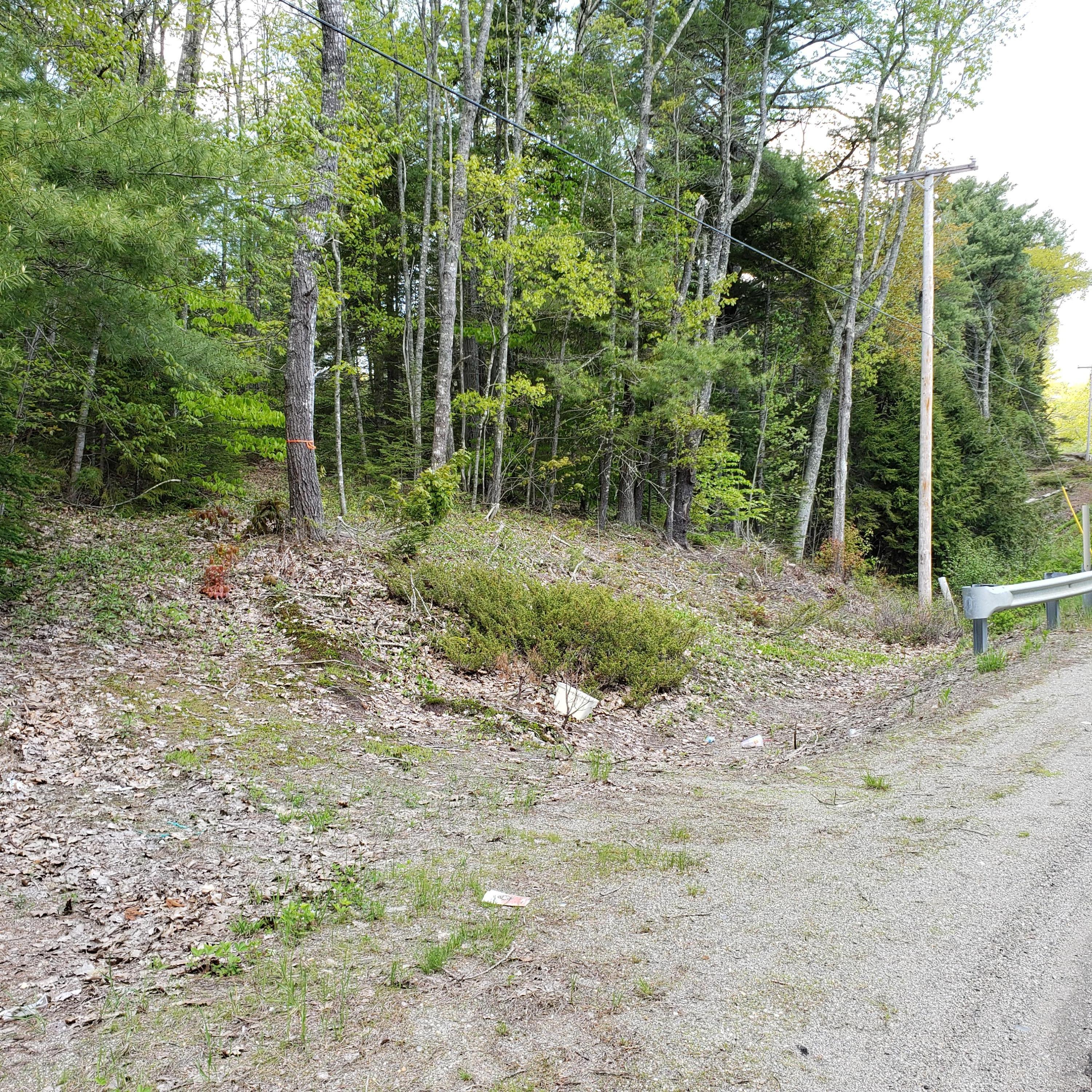 200 Ralph Wink Road Waldoboro, ME 04572 - Photo 18 of 19 20190603_115632