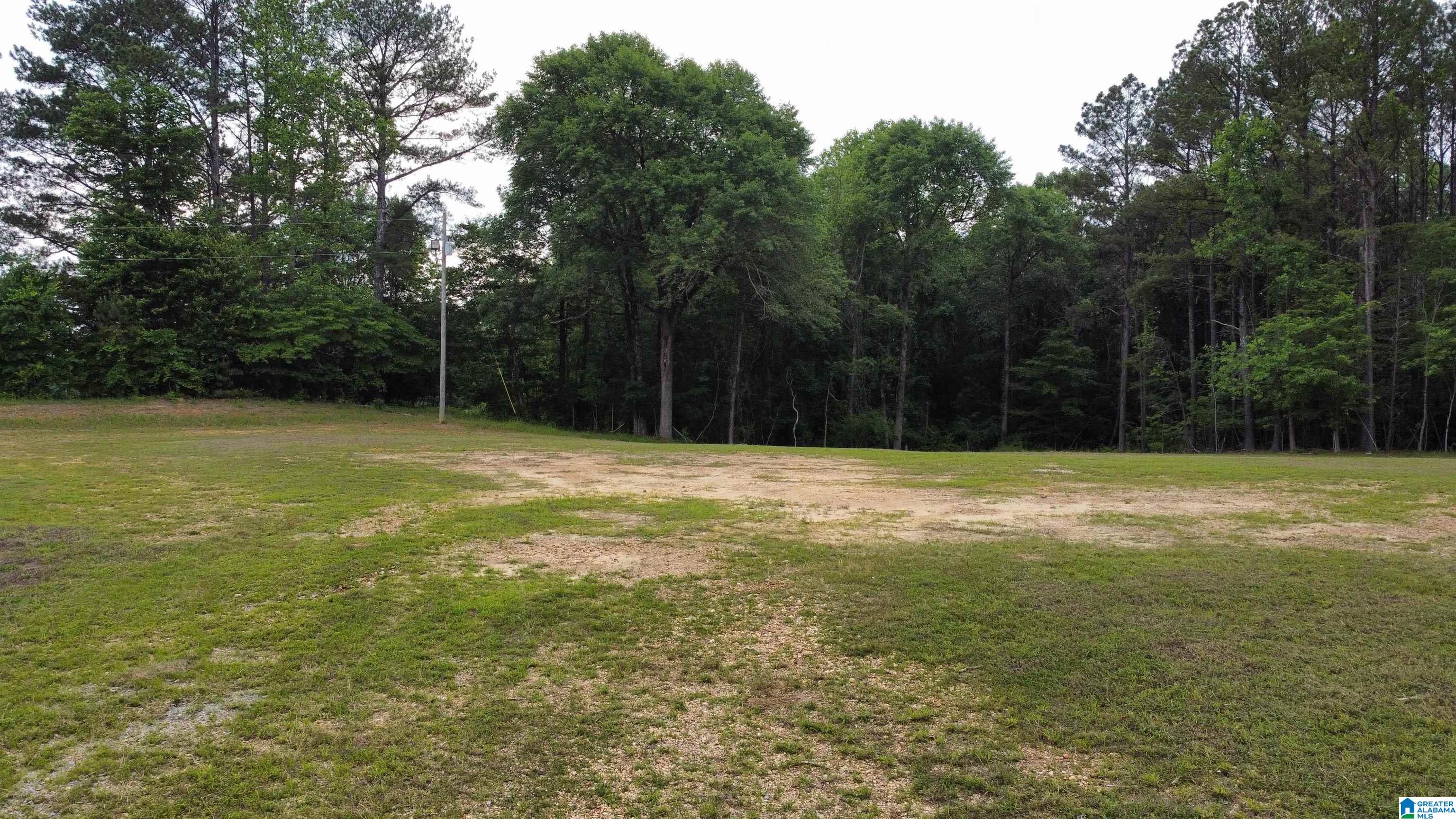22909 Highway 195 Double Springs, AL 35553 - Photo 14 of 19