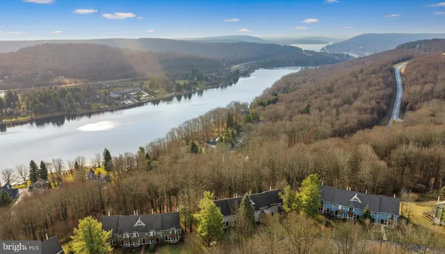a view of a white house with a yard plants and large tree