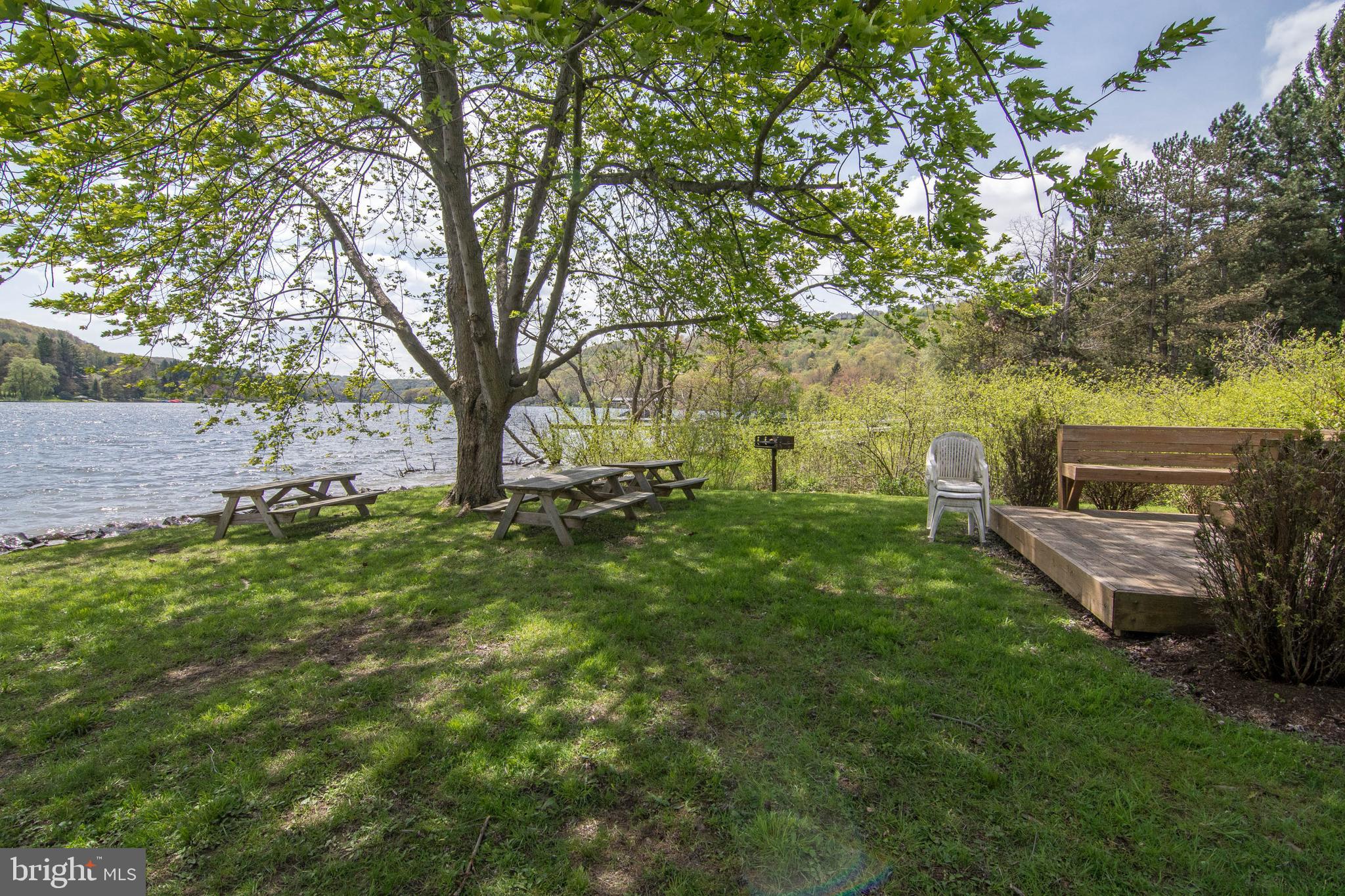 48 Bright Passage, Unit 5B McHenry, MD 21541 - Photo 39 of 56 a view of backyard with barbeque grill and a large tree