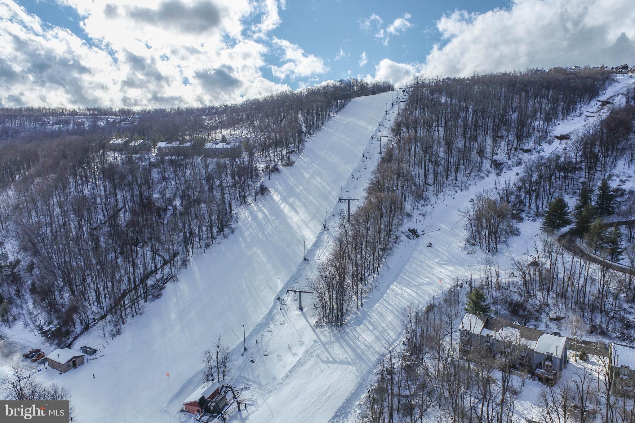 48 Bright Passage, Unit 5B McHenry, MD 21541 - Photo 50 of 56 a view of a dry yard with lots of trees