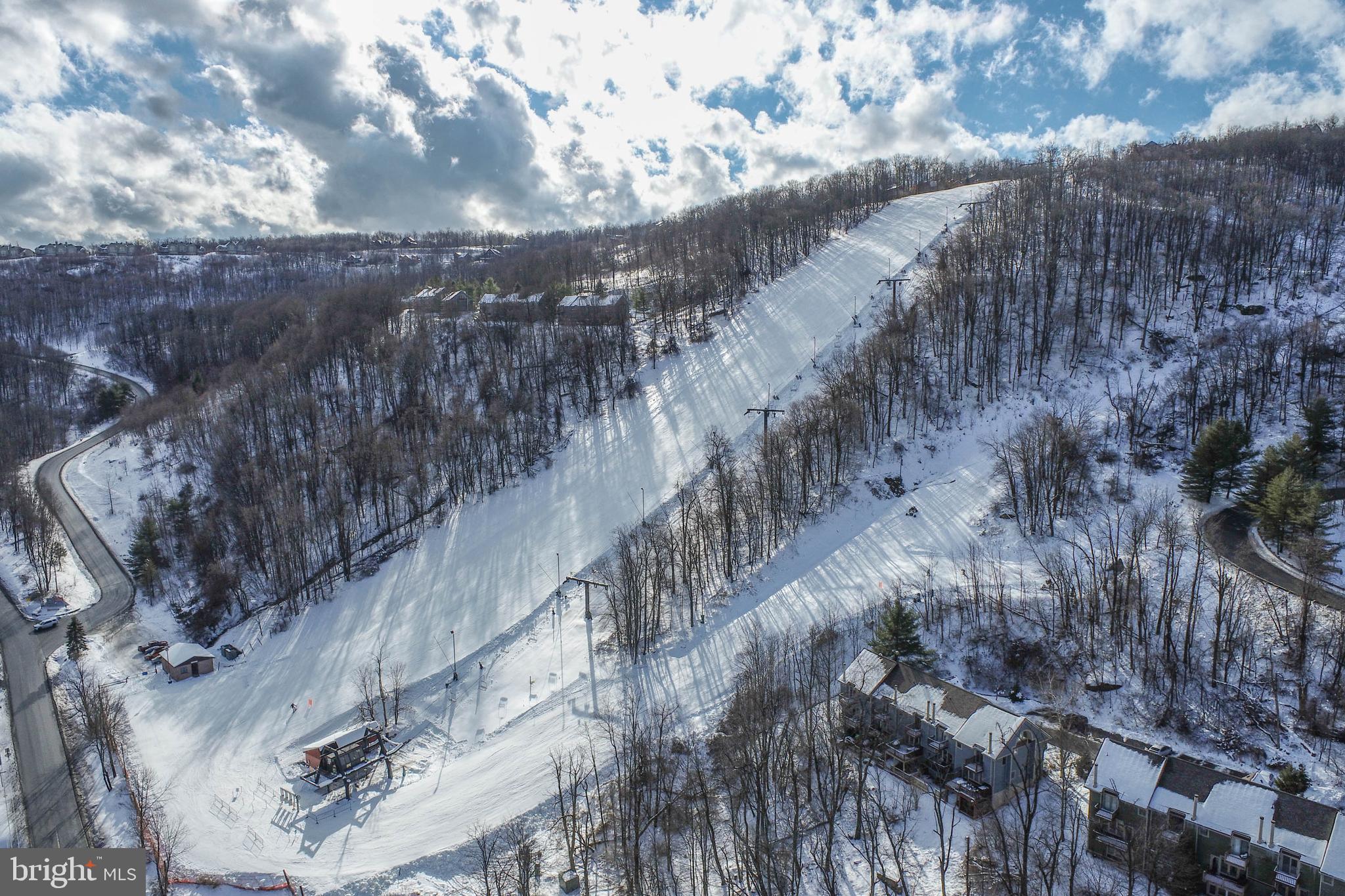 48 Bright Passage, Unit 5B McHenry, MD 21541 - Photo 53 of 56 a view of a yard with wooden fence