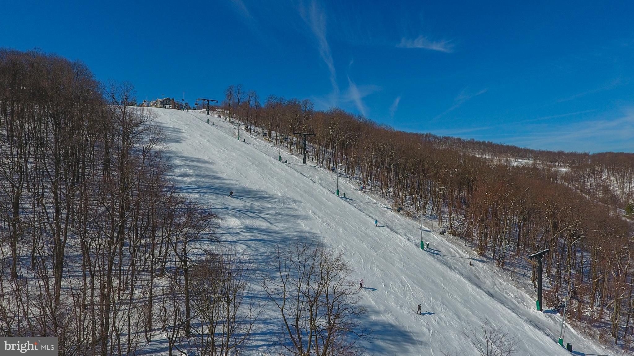 48 Bright Passage, Unit 5B McHenry, MD 21541 - Photo 55 of 56 a view of a yard