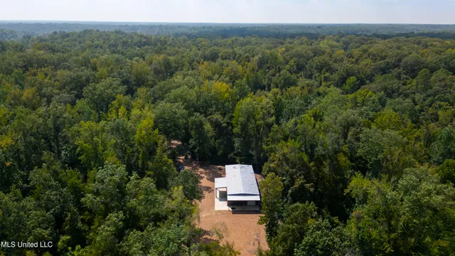 $2,950,000 | 2233 Holloman Road, Bentonia, MS 39040