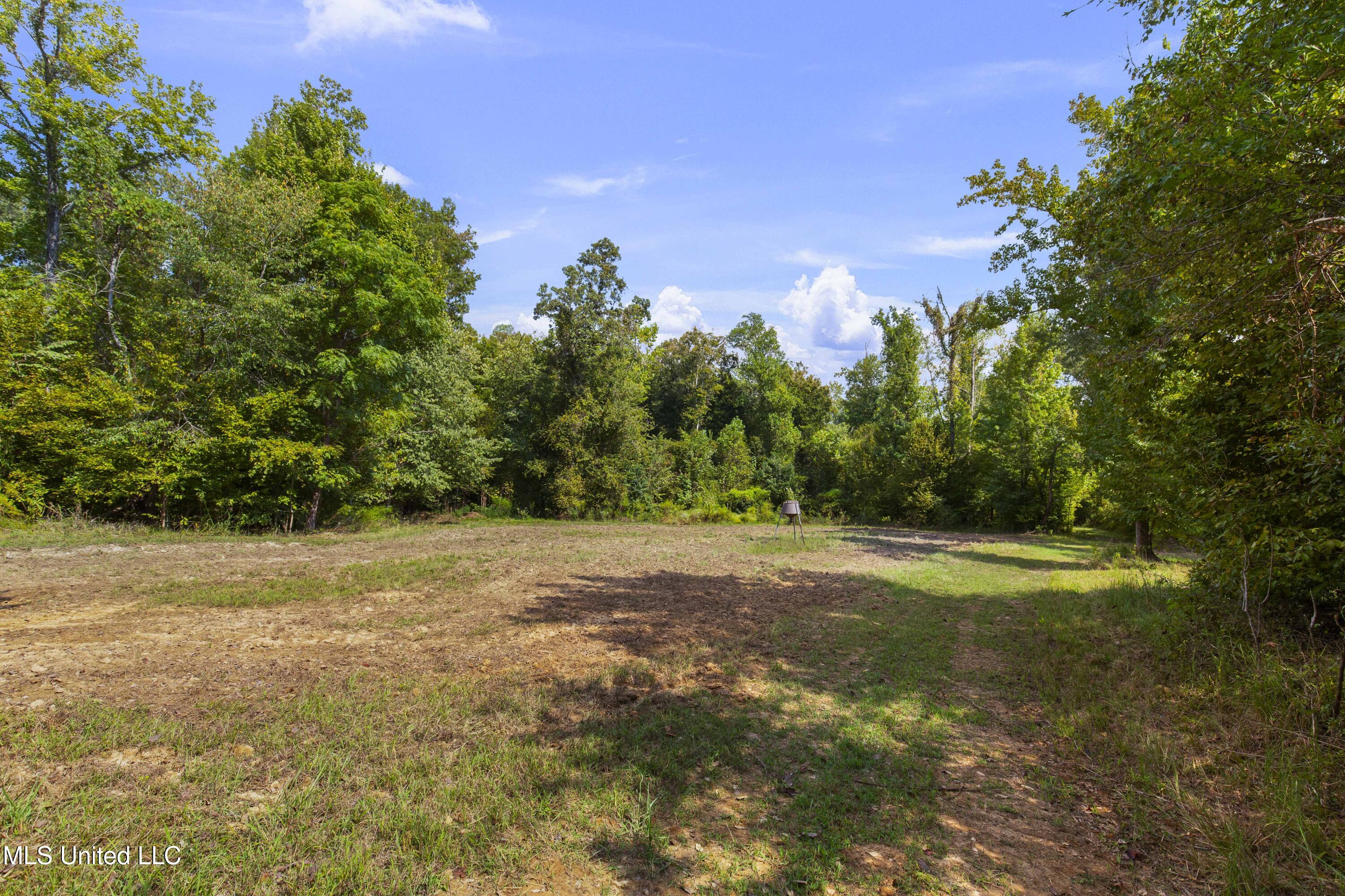 2233 Holloman Road Bentonia, MS 39040 - Photo 43 of 85 Holloman Rd-96