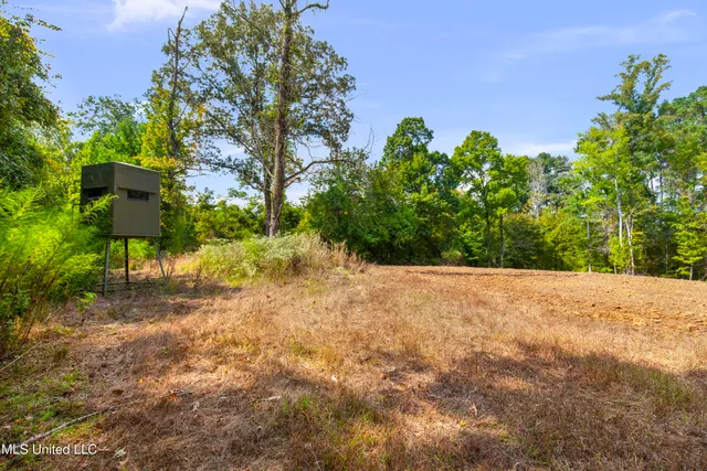 $2,950,000 | 2233 Holloman Road, Bentonia, MS 39040