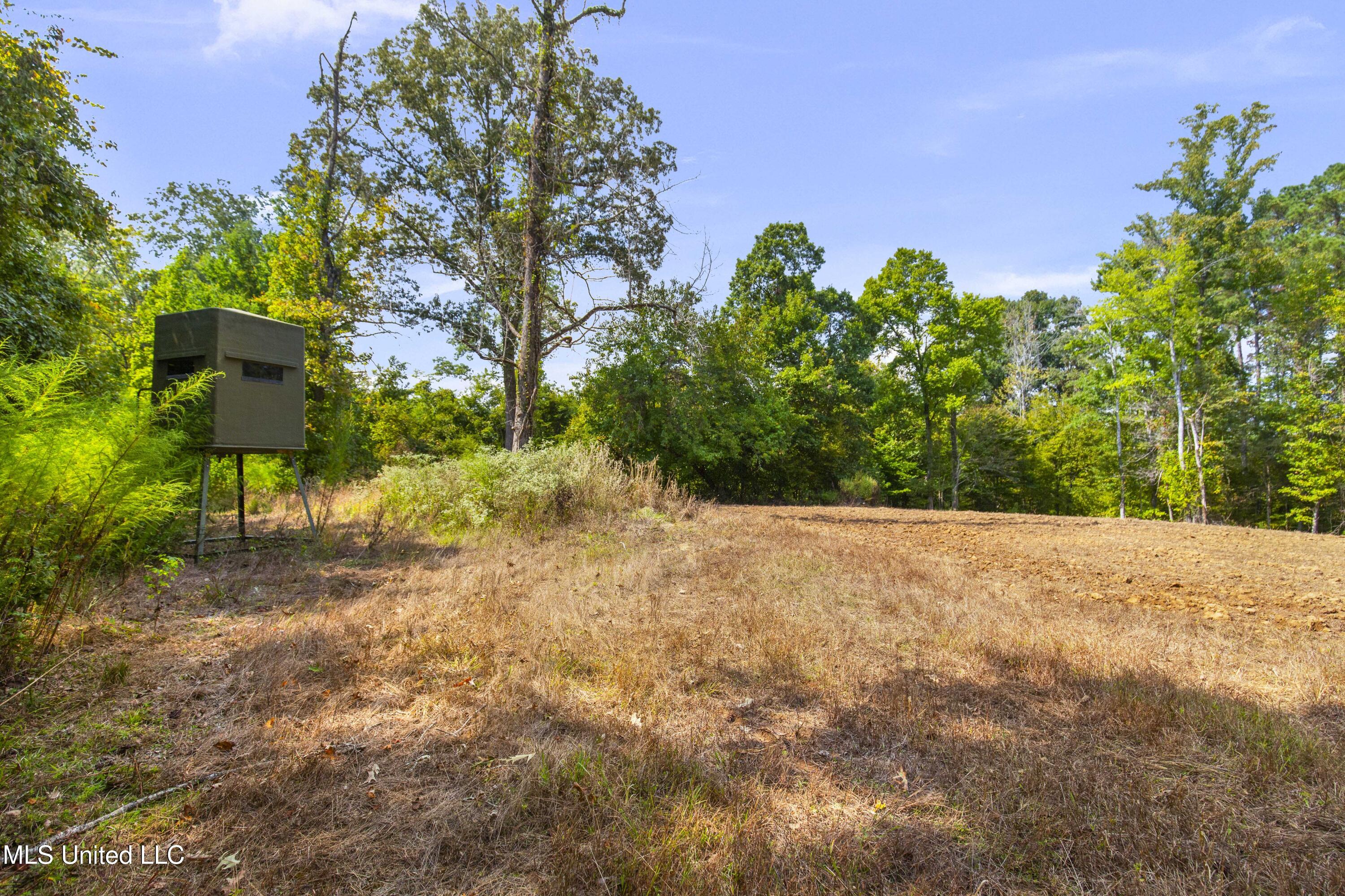 2233 Holloman Road Bentonia, MS 39040 - Photo 44 of 85 Holloman Rd-105
