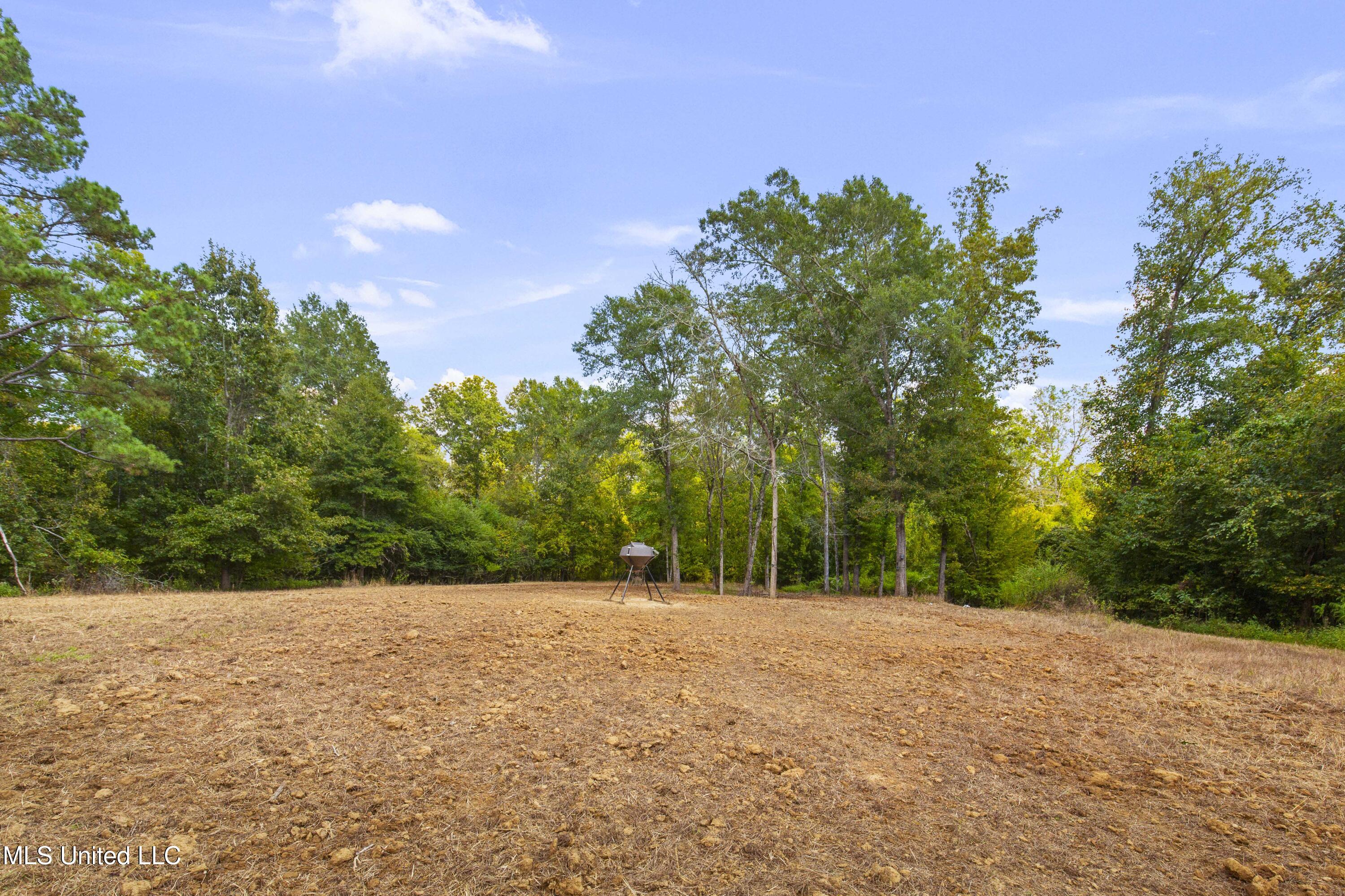 2233 Holloman Road Bentonia, MS 39040 - Photo 45 of 85 Holloman Rd-109