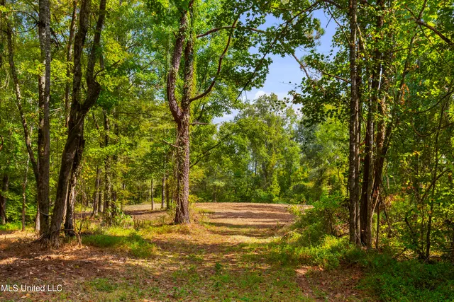 $2,950,000 | 2233 Holloman Road, Bentonia, MS 39040