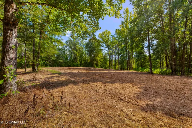 $2,950,000 | 2233 Holloman Road, Bentonia, MS 39040