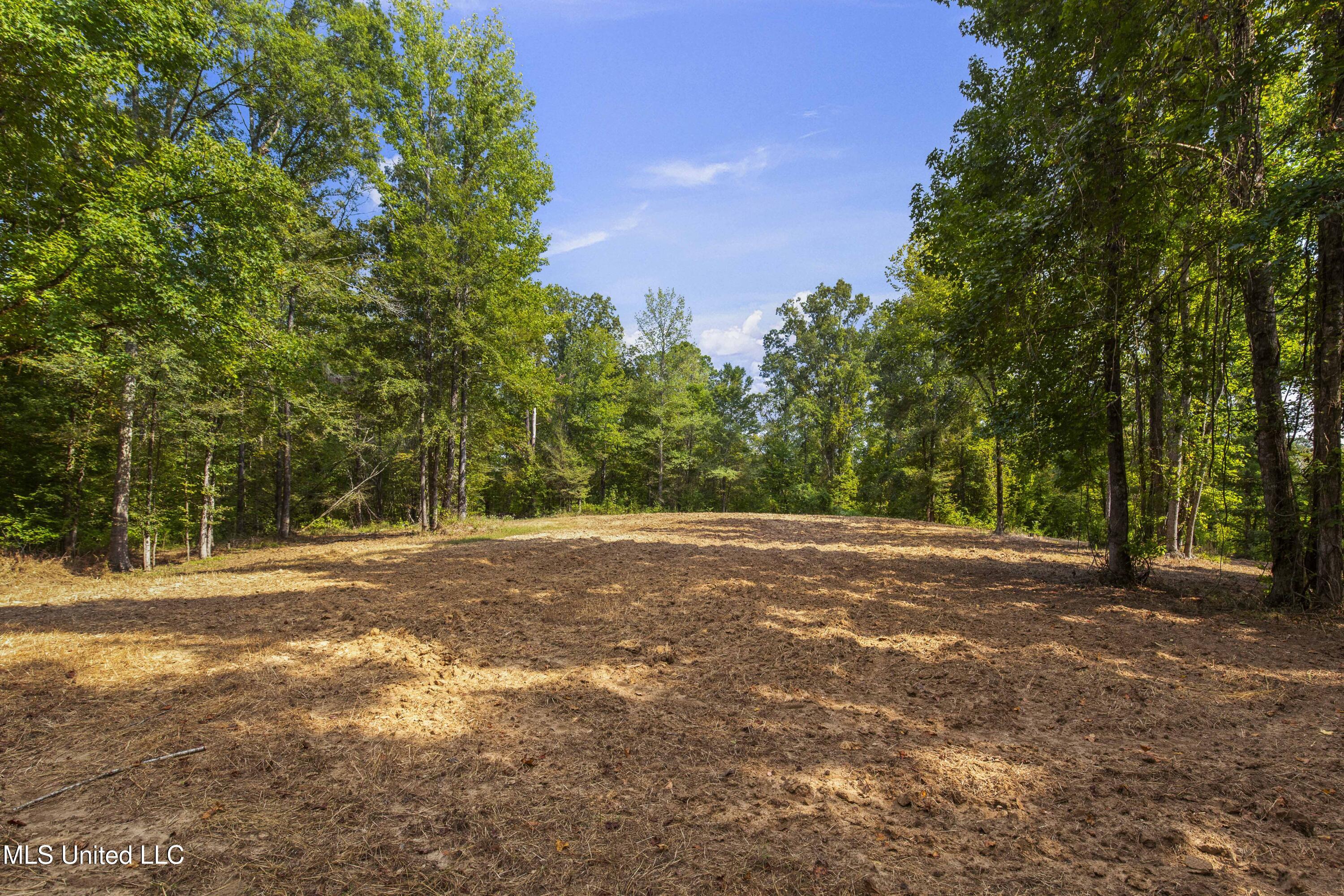 2233 Holloman Road Bentonia, MS 39040 - Photo 48 of 85 Holloman Rd-120