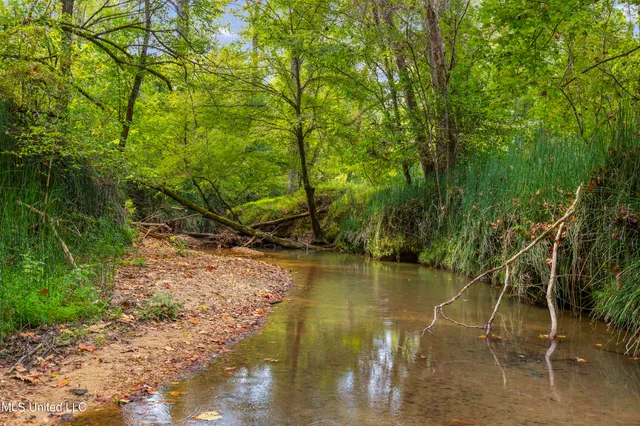 $2,950,000 | 2233 Holloman Road, Bentonia, MS 39040