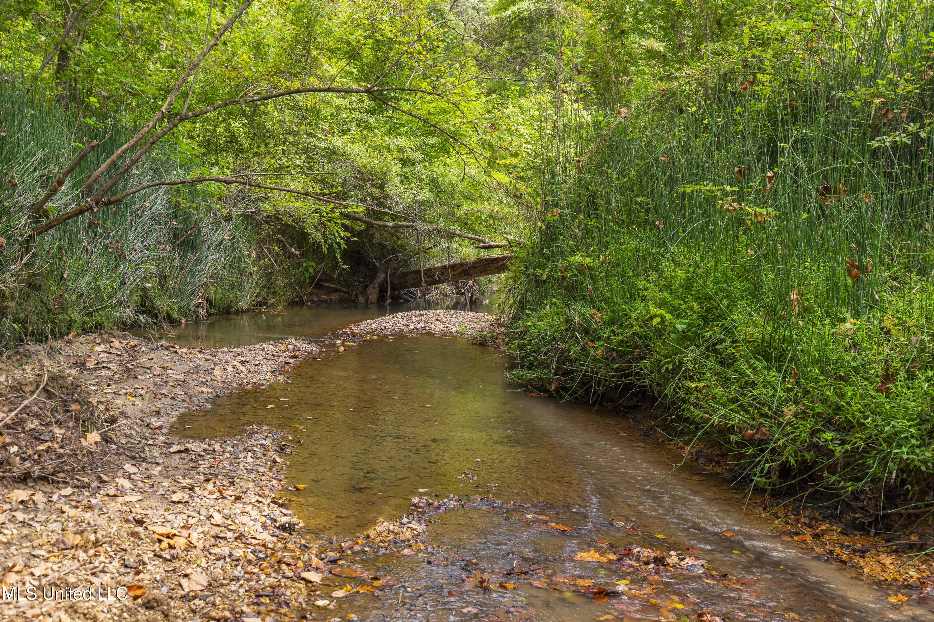 2233 Holloman Road Bentonia, MS 39040 - Photo 52 of 85 Holloman Rd-129