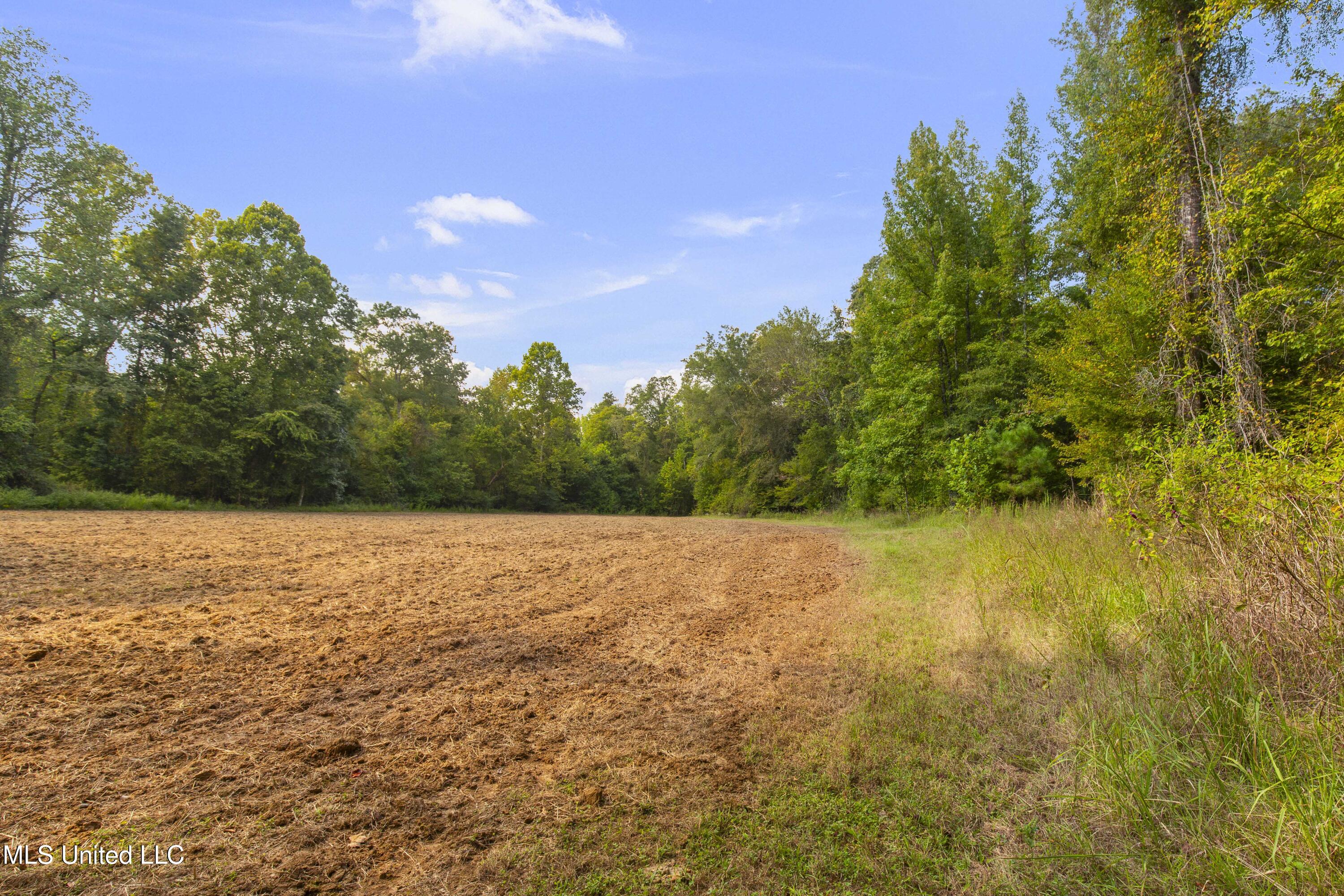 2233 Holloman Road Bentonia, MS 39040 - Photo 54 of 85 Holloman Rd-134
