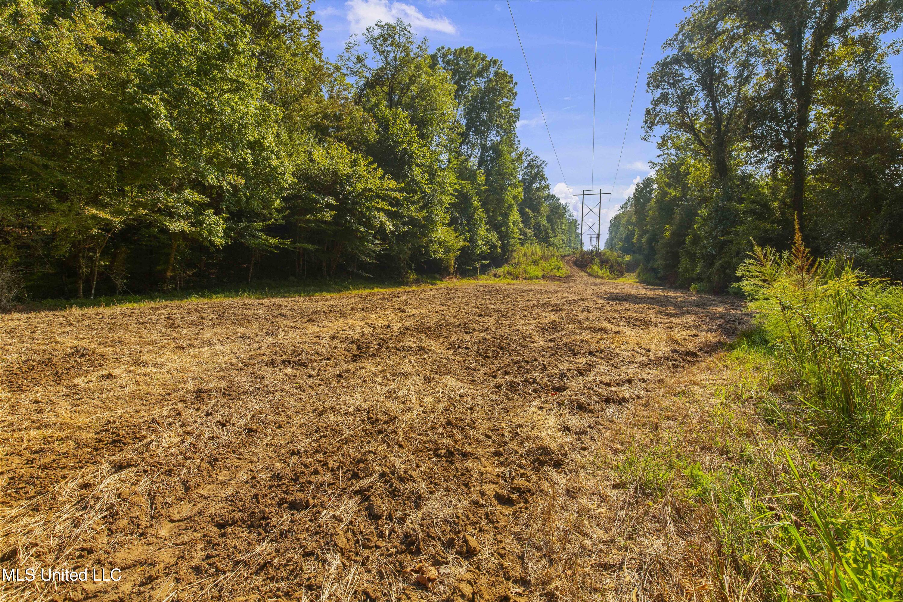 2233 Holloman Road Bentonia, MS 39040 - Photo 55 of 85 Holloman Rd-141