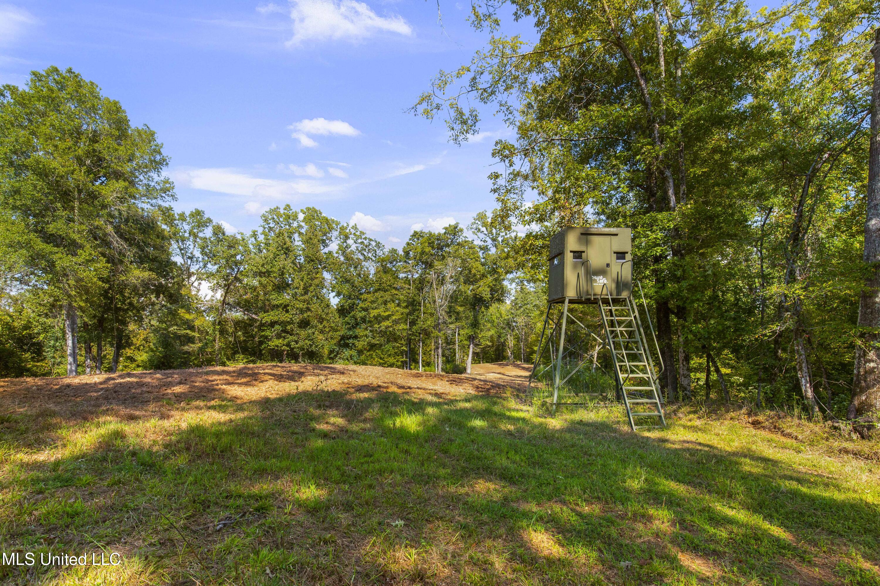2233 Holloman Road Bentonia, MS 39040 - Photo 56 of 85 Holloman Rd-143