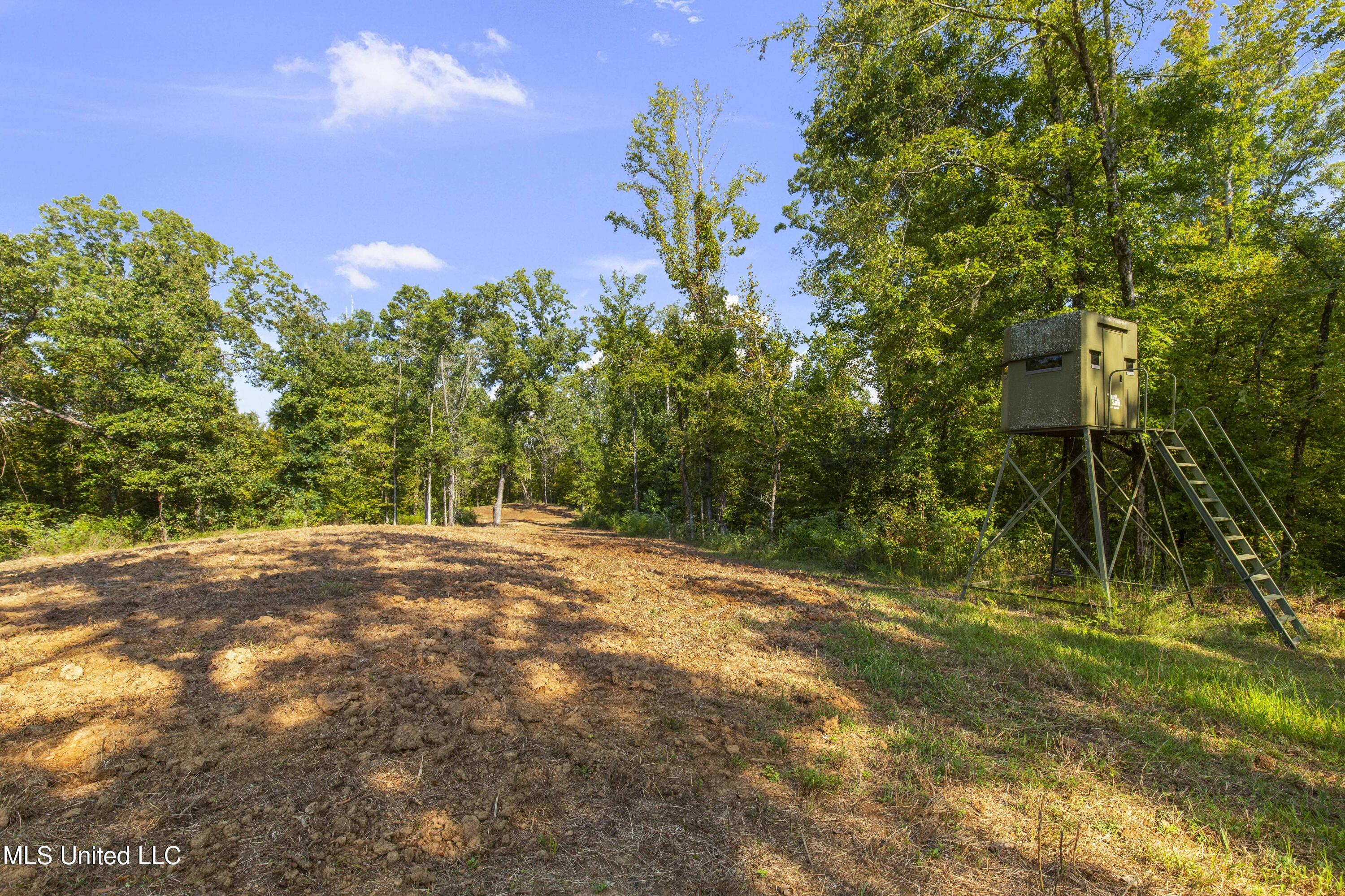 2233 Holloman Road Bentonia, MS 39040 - Photo 57 of 85 Holloman Rd-144