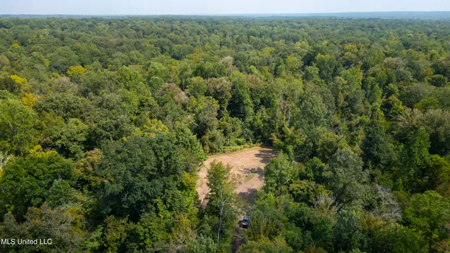 $2,950,000 | 2233 Holloman Road, Bentonia, MS 39040