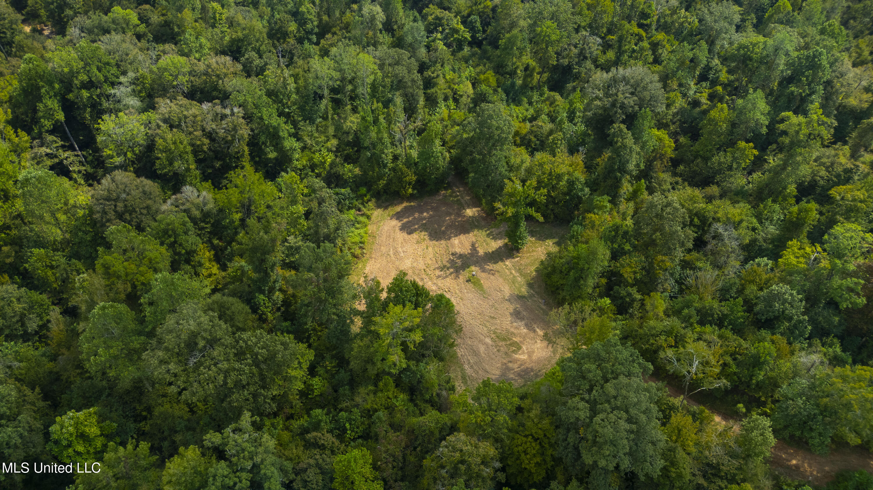 2233 Holloman Road Bentonia, MS 39040 - Photo 62 of 85 Holloman Rd-179