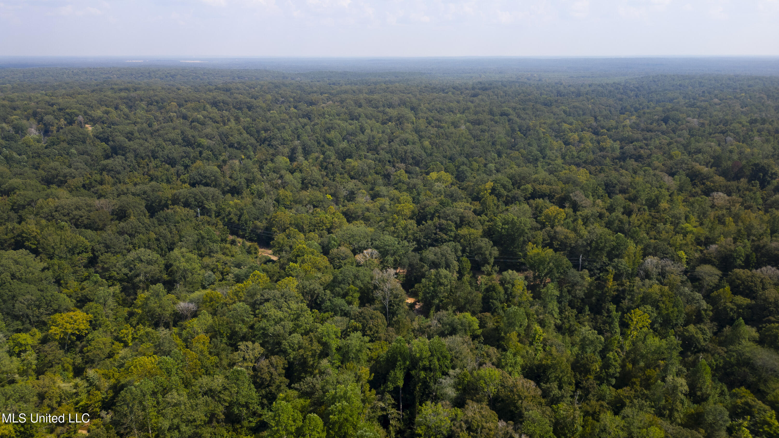 2233 Holloman Road Bentonia, MS 39040 - Photo 63 of 85 Holloman Rd-181