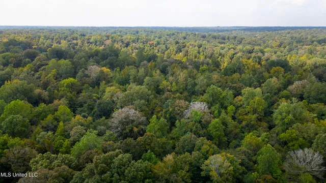 $2,950,000 | 2233 Holloman Road, Bentonia, MS 39040