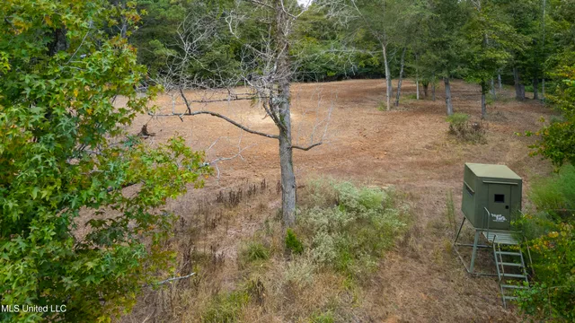 $2,950,000 | 2233 Holloman Road, Bentonia, MS 39040