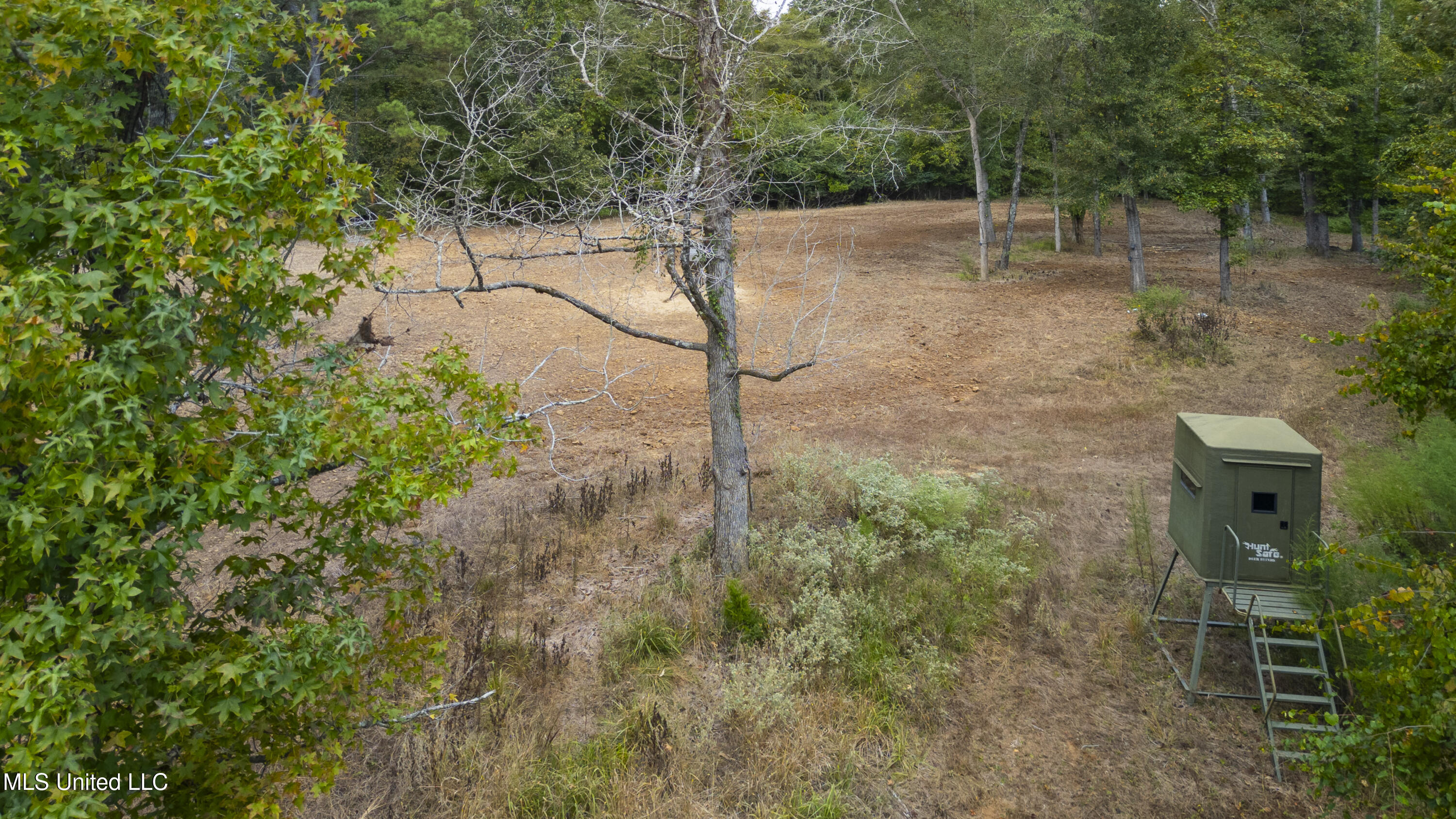 2233 Holloman Road Bentonia, MS 39040 - Photo 66 of 85 Holloman Rd-190