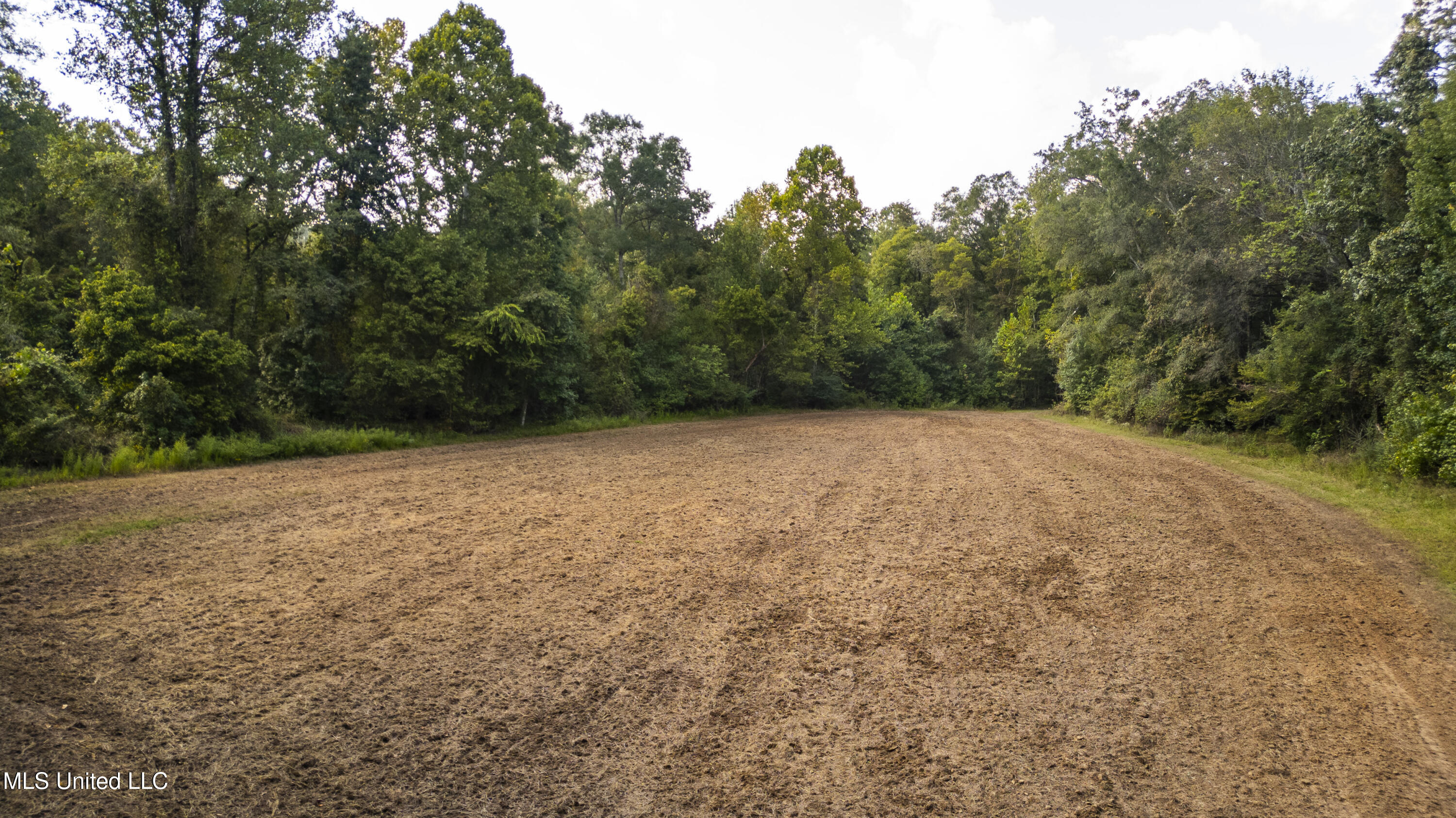 2233 Holloman Road Bentonia, MS 39040 - Photo 67 of 85 Holloman Rd-194