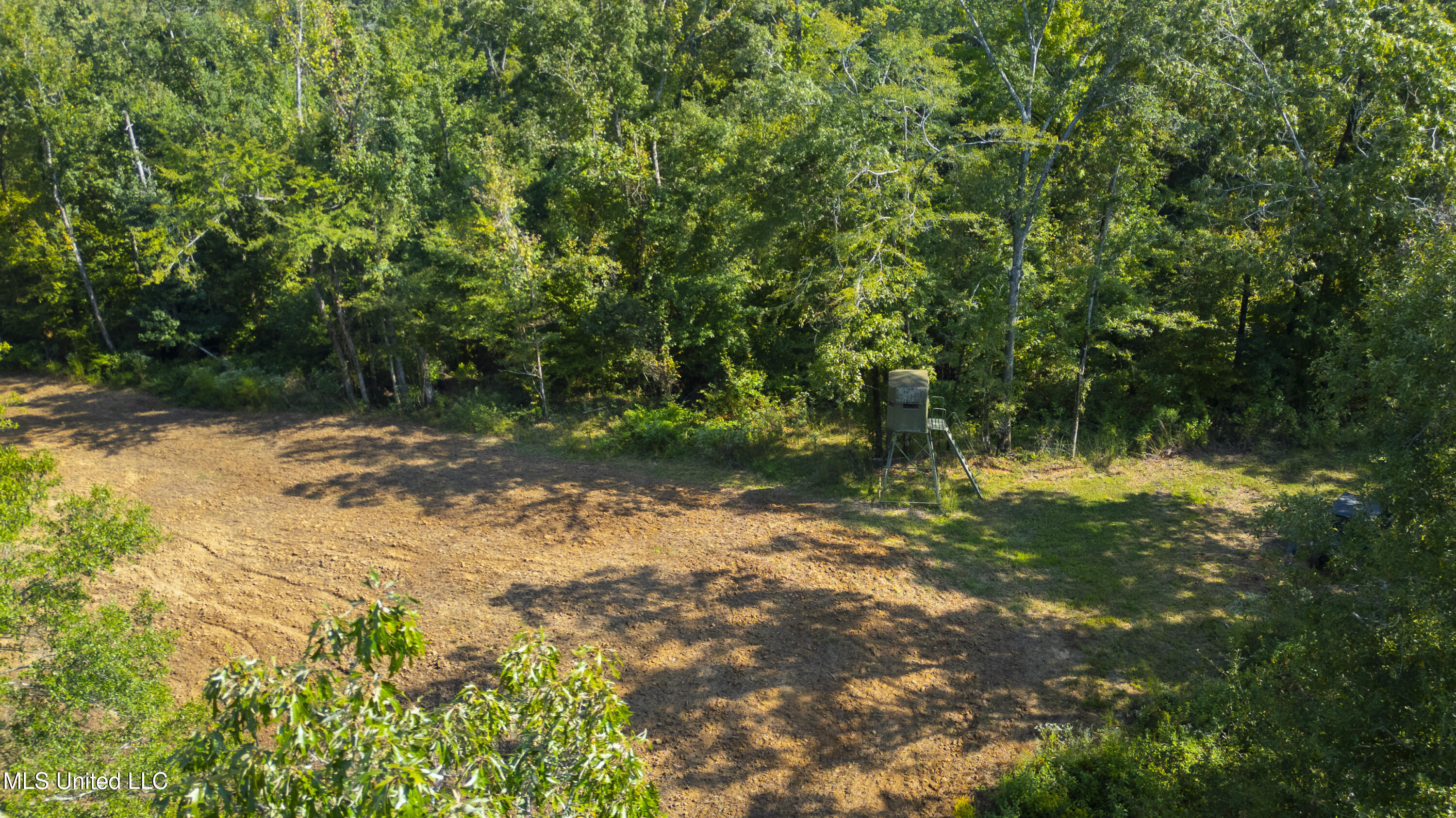 2233 Holloman Road Bentonia, MS 39040 - Photo 68 of 85 Holloman Rd-195