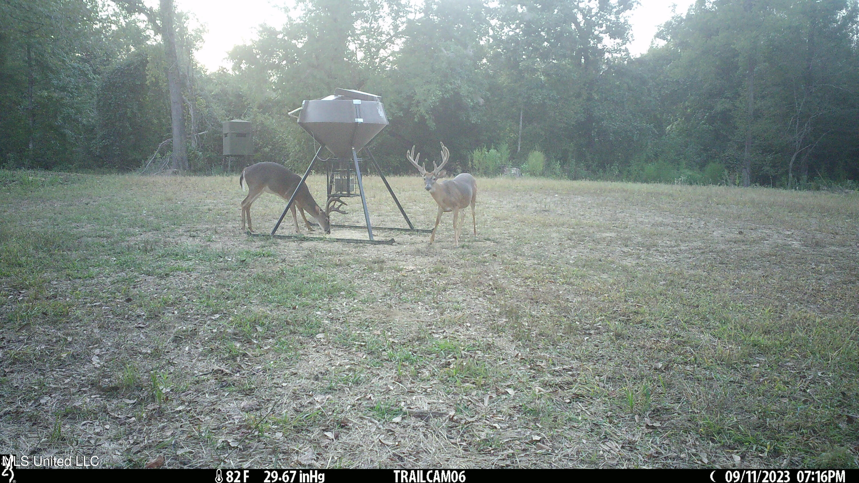 2233 Holloman Road Bentonia, MS 39040 - Photo 69 of 85 h17