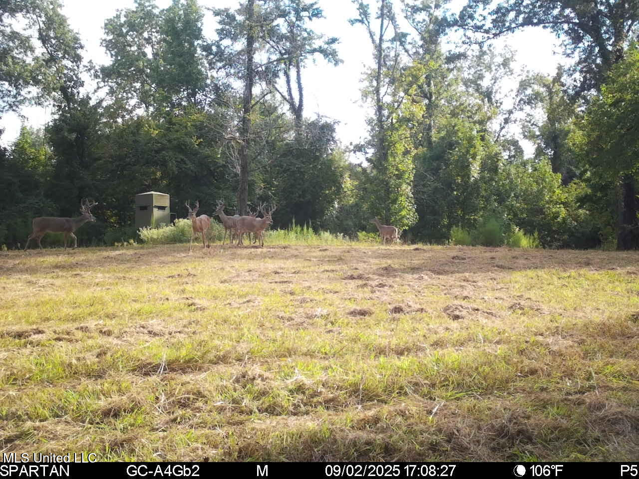 2233 Holloman Road Bentonia, MS 39040 - Photo 70 of 85 h2