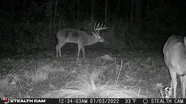 $2,950,000 | 2233 Holloman Road, Bentonia, MS 39040