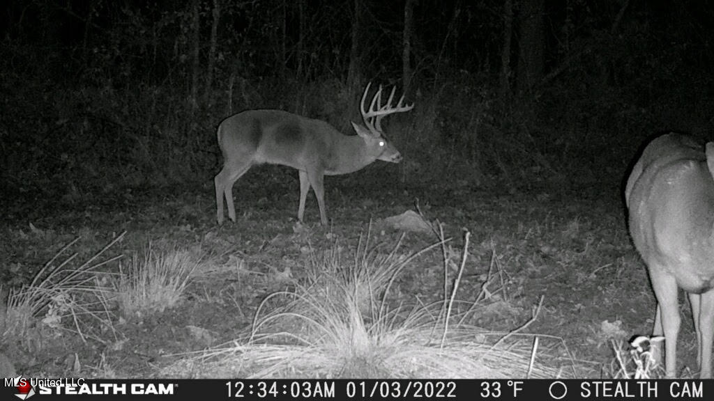 2233 Holloman Road Bentonia, MS 39040 - Photo 73 of 85 h5