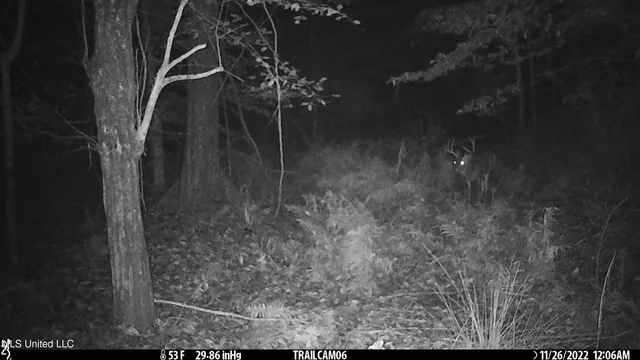 $2,950,000 | 2233 Holloman Road, Bentonia, MS 39040