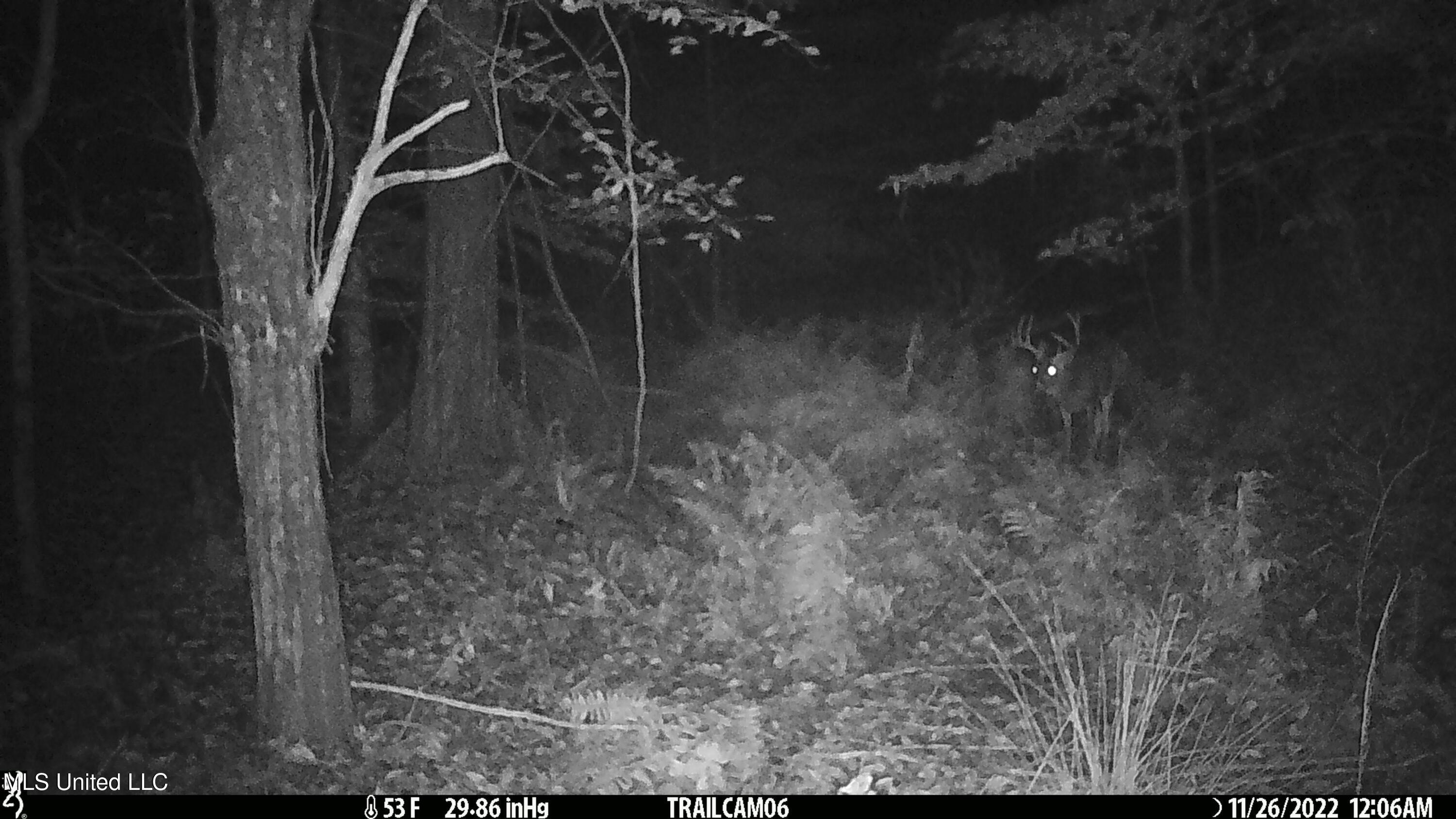 2233 Holloman Road Bentonia, MS 39040 - Photo 75 of 85 h7