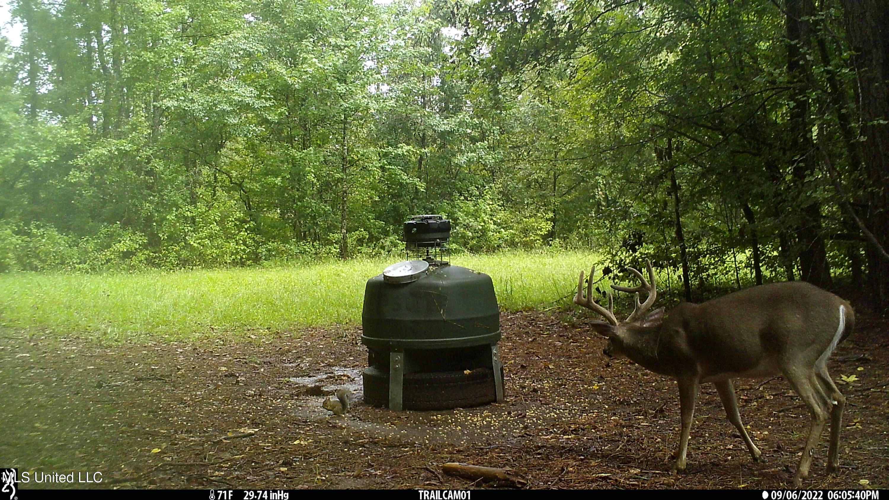 2233 Holloman Road Bentonia, MS 39040 - Photo 76 of 85 h8