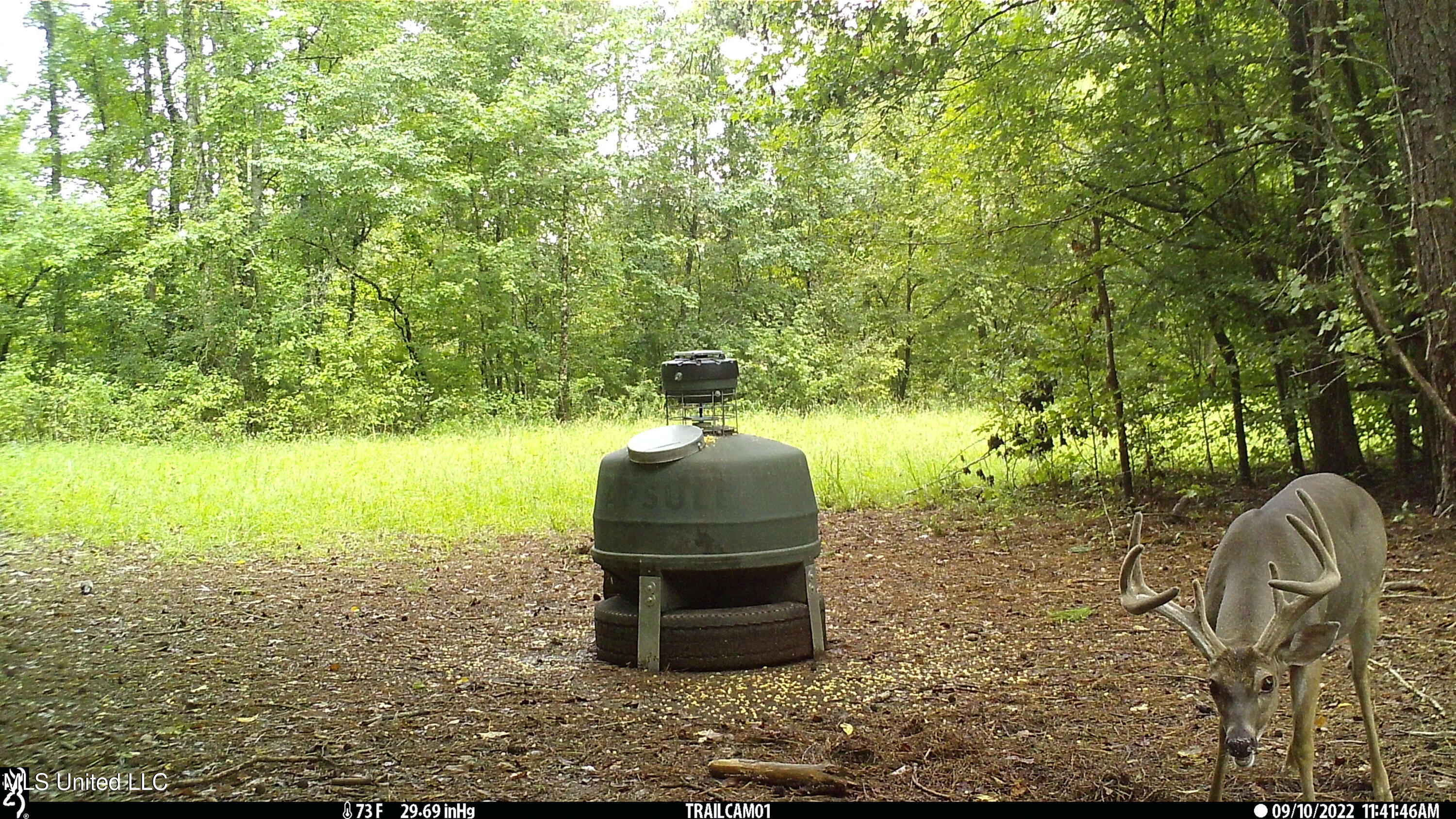 2233 Holloman Road Bentonia, MS 39040 - Photo 78 of 85 h11