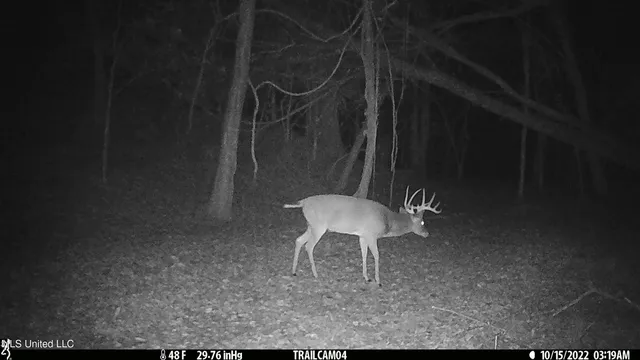 $2,950,000 | 2233 Holloman Road, Bentonia, MS 39040