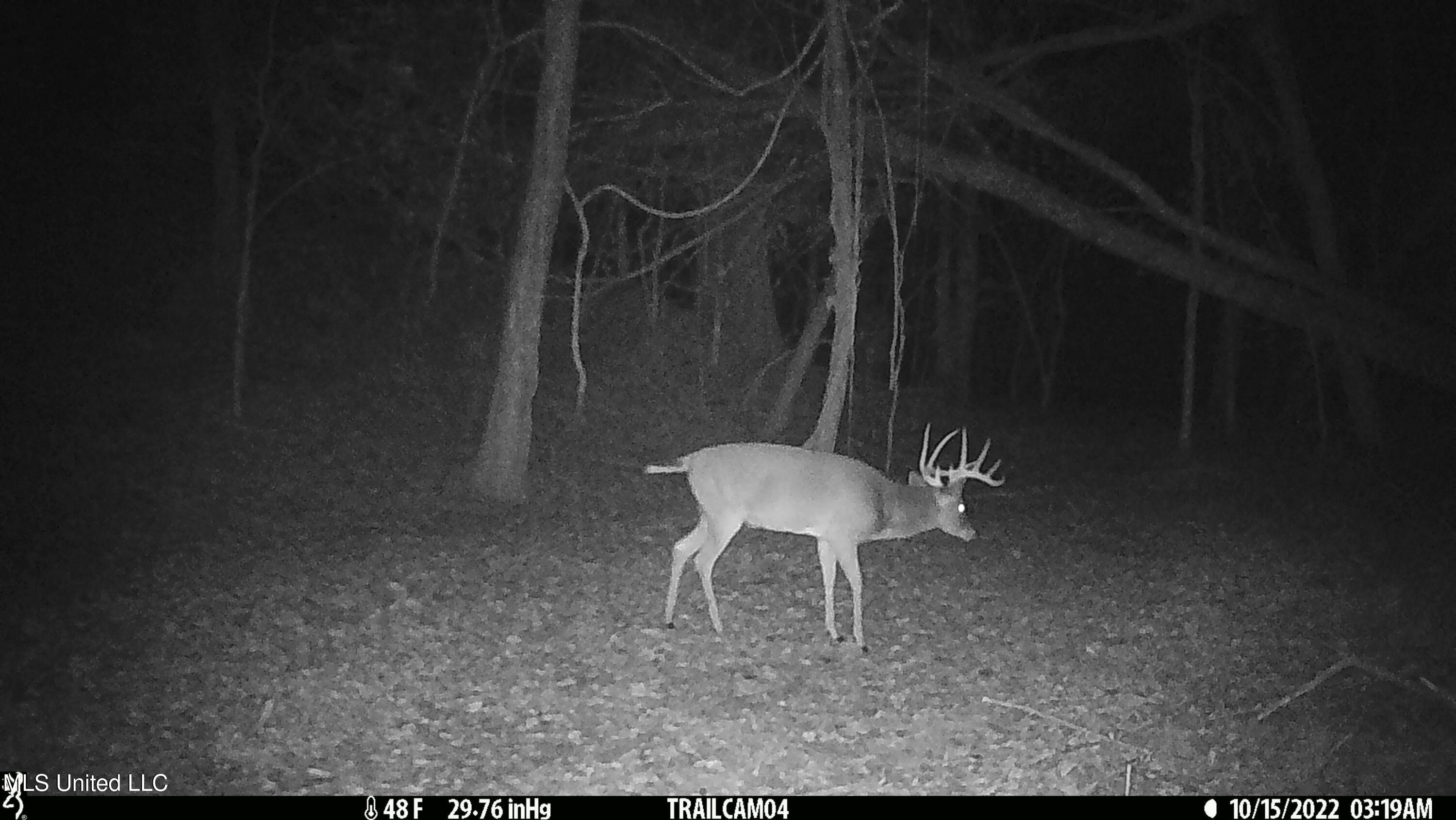 2233 Holloman Road Bentonia, MS 39040 - Photo 80 of 85 h13