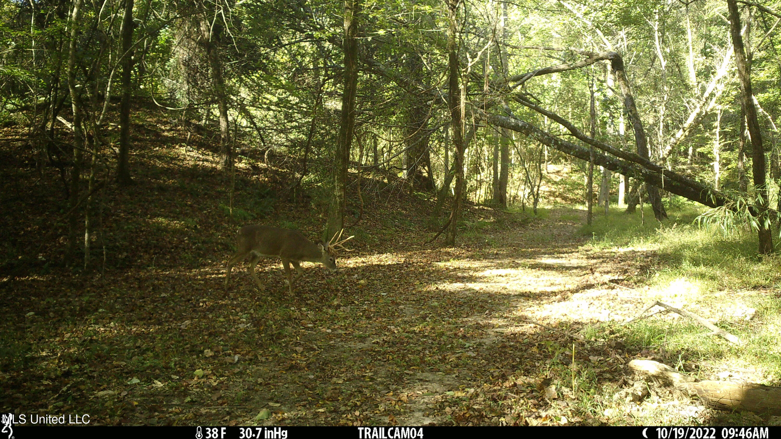 2233 Holloman Road Bentonia, MS 39040 - Photo 81 of 85 h14