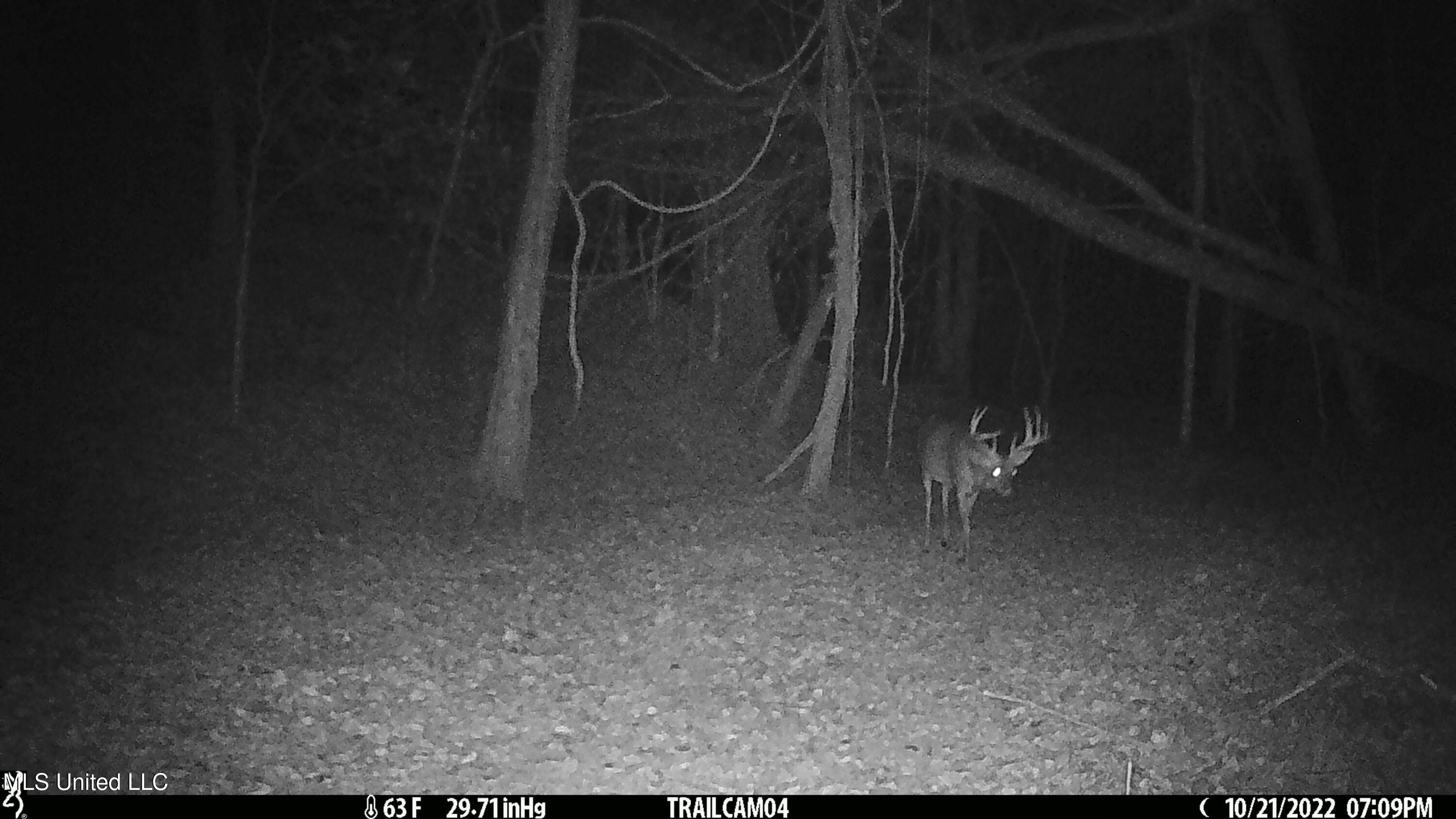 2233 Holloman Road Bentonia, MS 39040 - Photo 82 of 85 h15