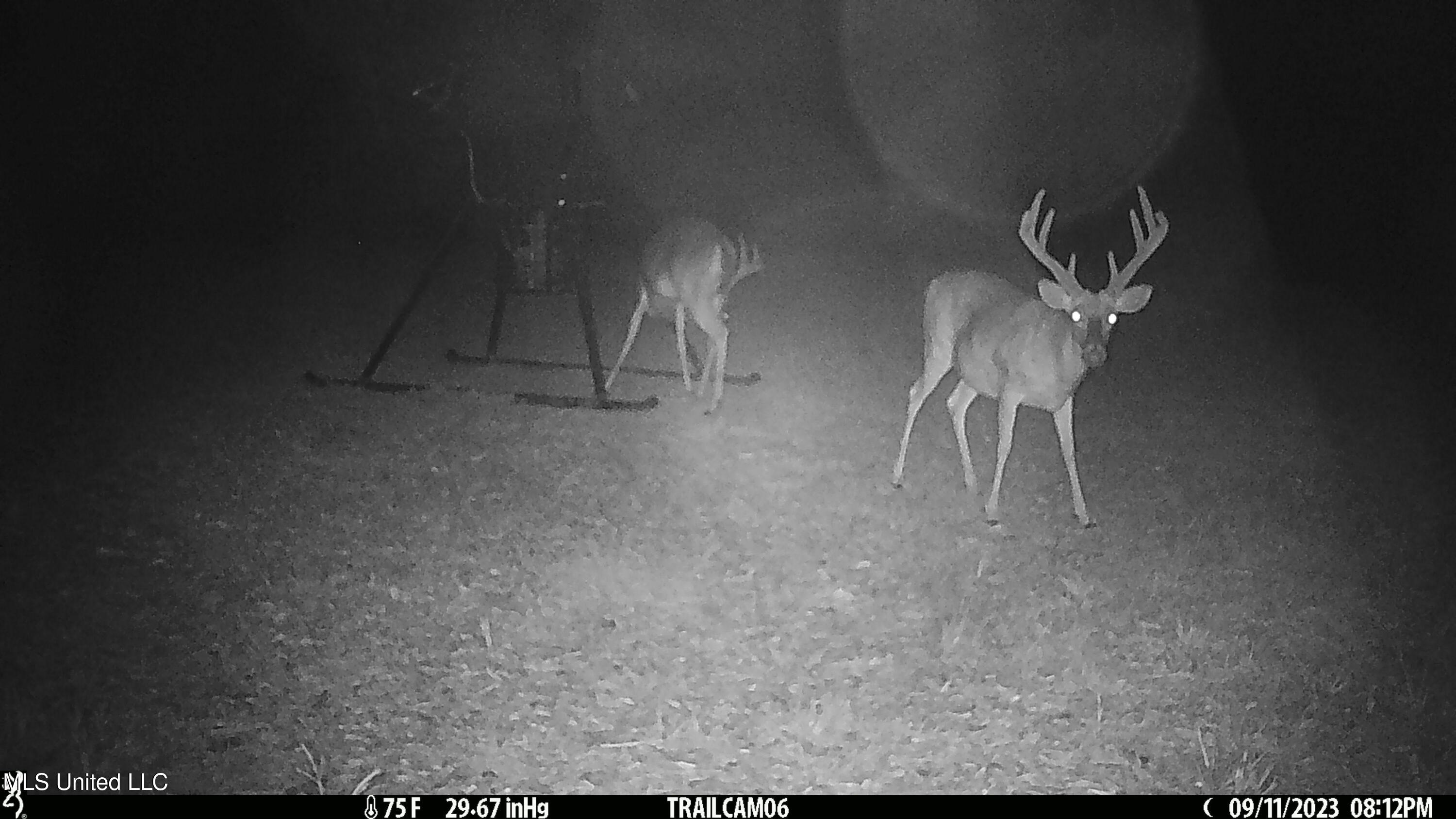 2233 Holloman Road Bentonia, MS 39040 - Photo 83 of 85 h18