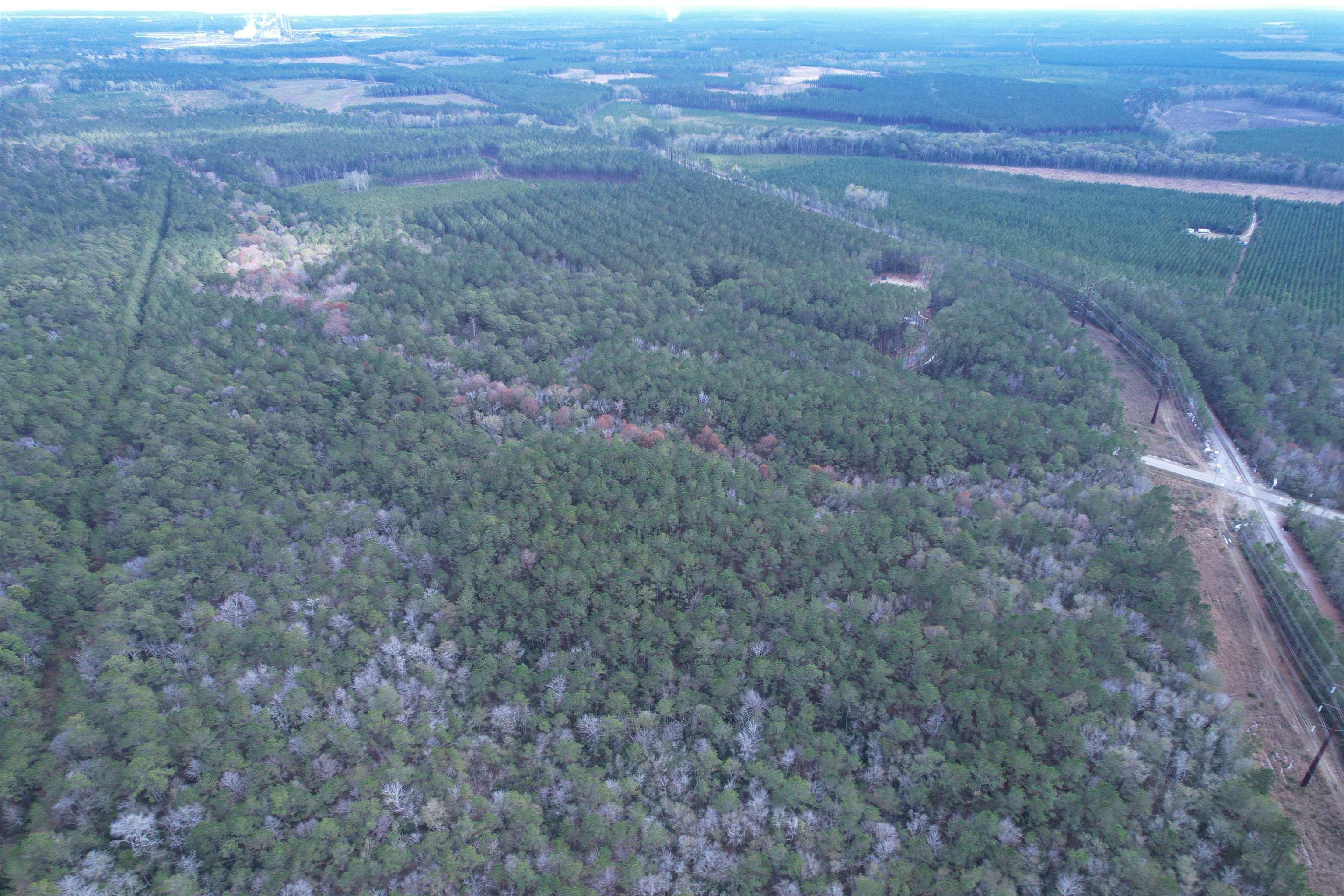 Tract B - Tbd Tract B - Tbd Pennyroyal Road Georgetown, SC 29440 - Photo 14 of 23
