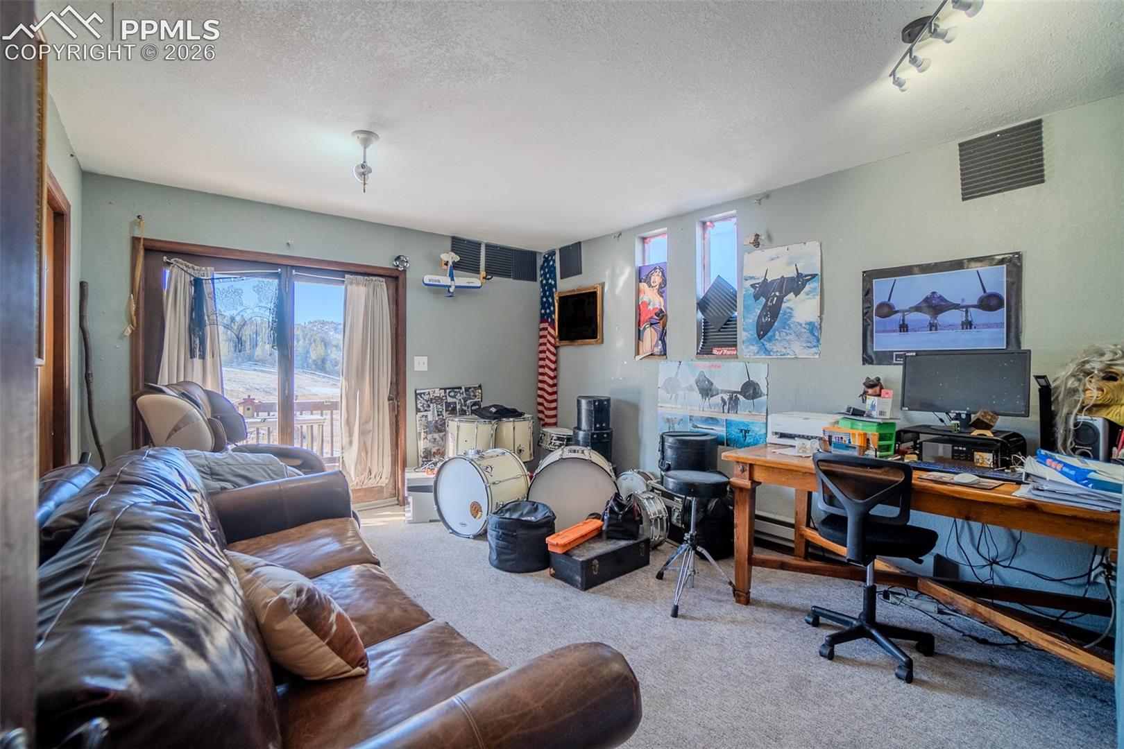 595 High Pasture Road Florissant, CO 80816 - Photo 16 of 24 Gallery Image 16