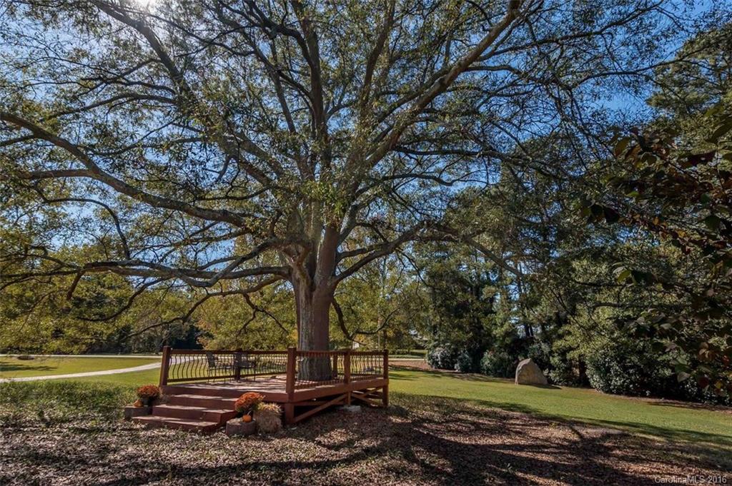 141 Niven Road Lancaster, SC 29720 - Photo 4 of 24