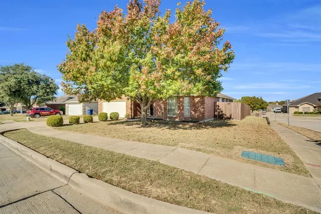 a street view with large trees